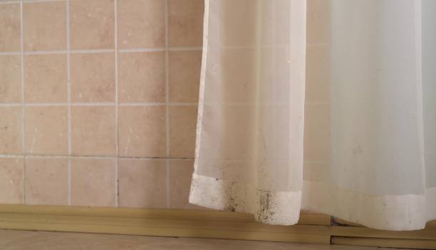 Best Real Estate Mold Inspection  in Farmersville, CA