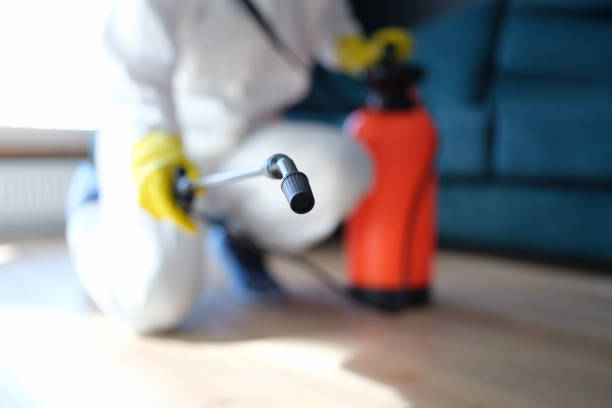 Best Biohazard Mold Removal  in Farmersville, CA