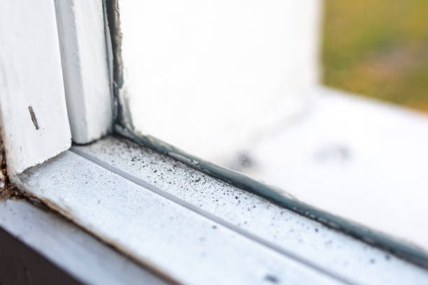 Best Commercial Mold Inspection  in Farmersville, CA